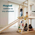 play loft jungle gym