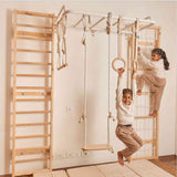 Ultimate Indoor Jungle Gym 2