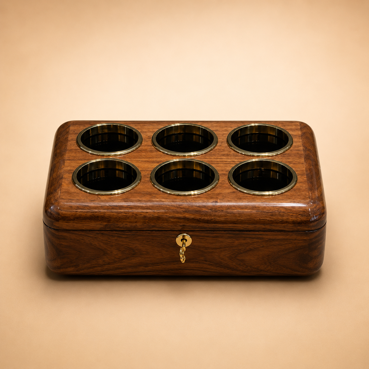 Luxury Watch Organizer