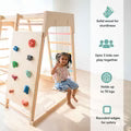 7 in 1 jungle gym