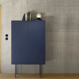 Modern 2-Door Display Cabinet