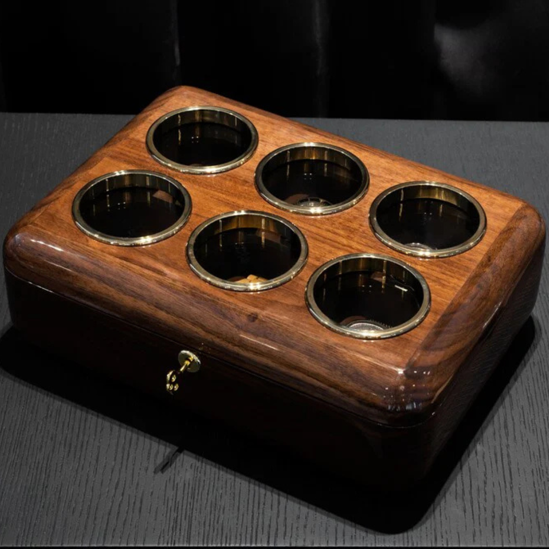 Luxury Watch Organizer