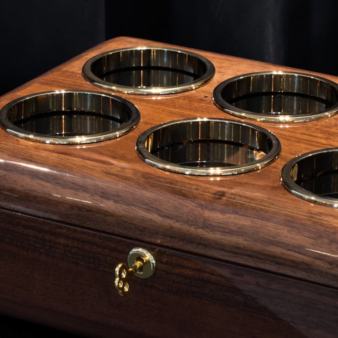 Luxury Watch Organizer