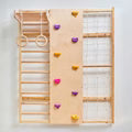 Wall Mounted Jungle Gym
