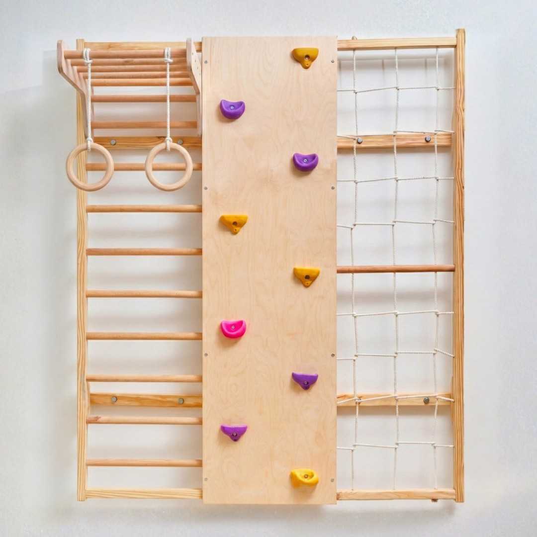 Wall Mounted Jungle Gym